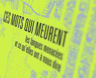 Language revitalization essay image