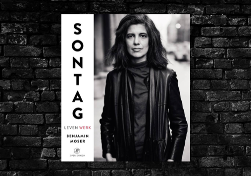 Sontag as Metaphor - Books & ideas