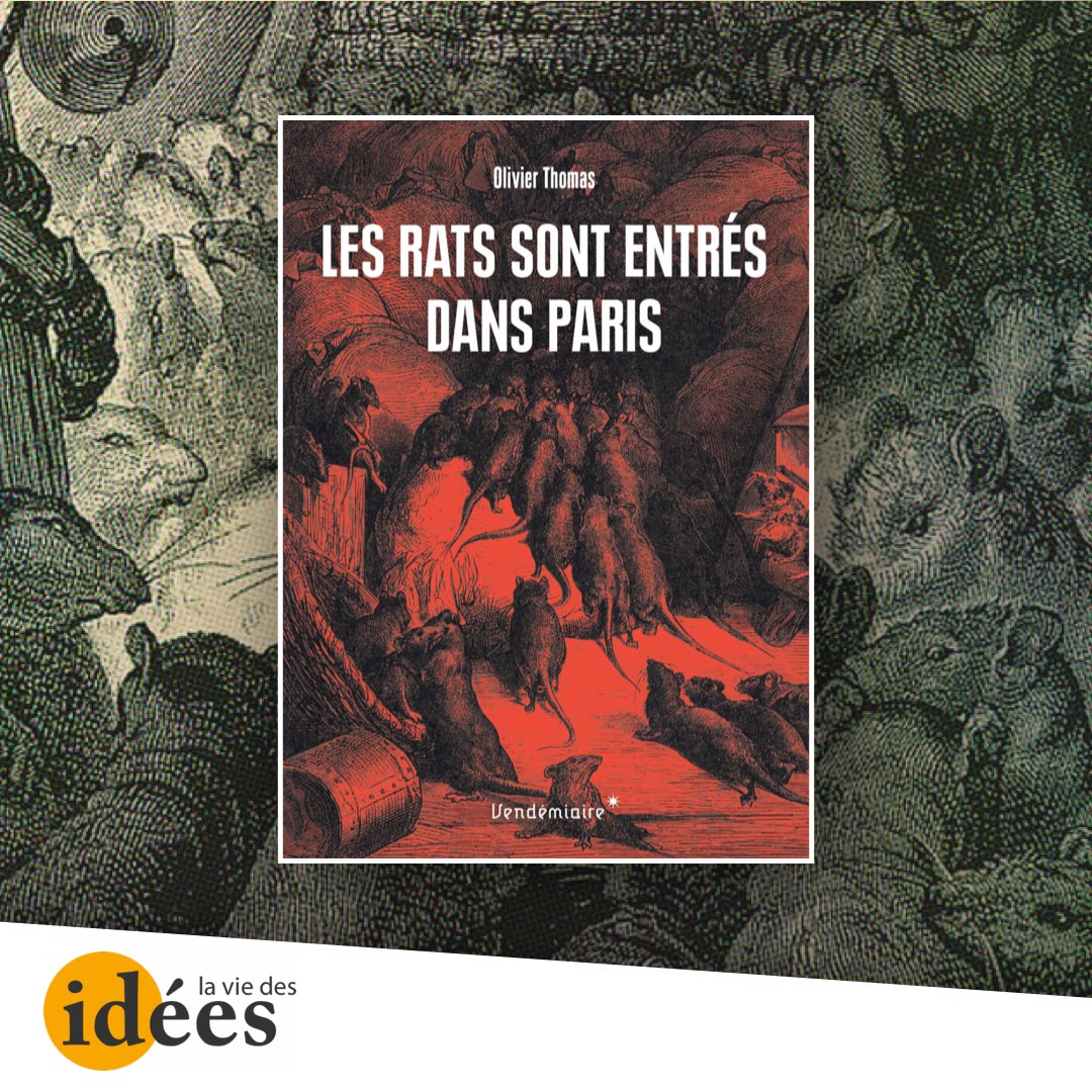 Bienvenue dans l’histoire des rats - La Vie des idées