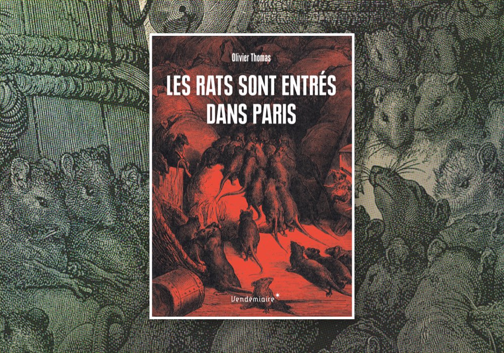 Bienvenue dans l’histoire des rats - La Vie des idées