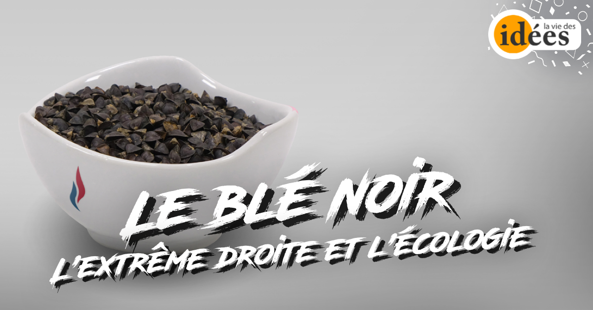 Sitemapcdatahttpsfoowindecoocomle Ble Noir Noirmoutiernull