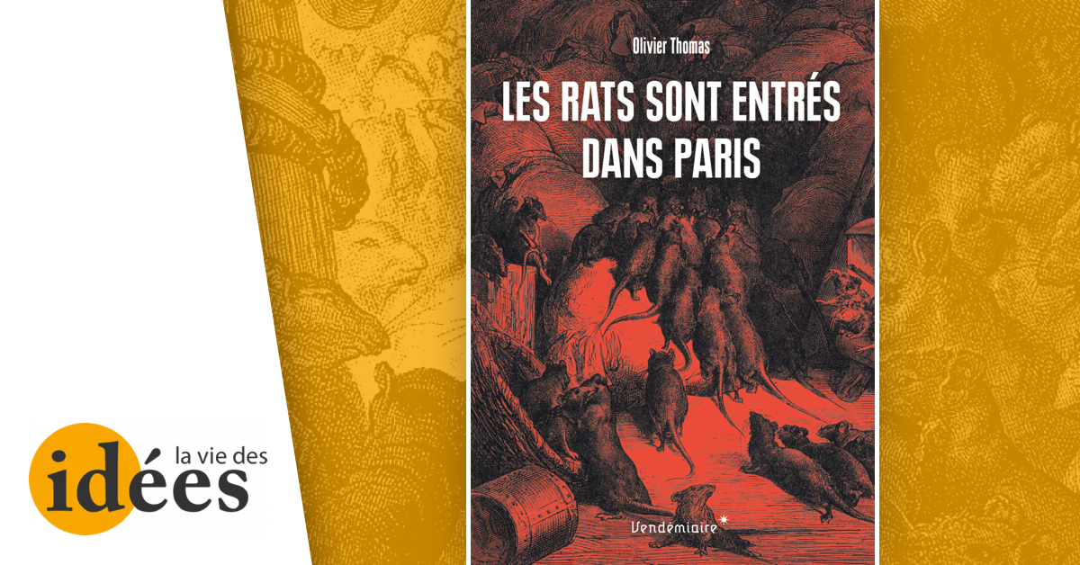 Bienvenue dans l’histoire des rats - La Vie des idées